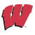 Wisconsin Badgers Logo